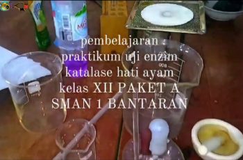 Pembelajaran Biologi Uji Enzim Katalase Hati Ayam